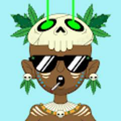 collection avatar