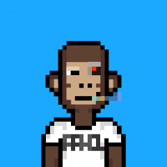 collection avatar